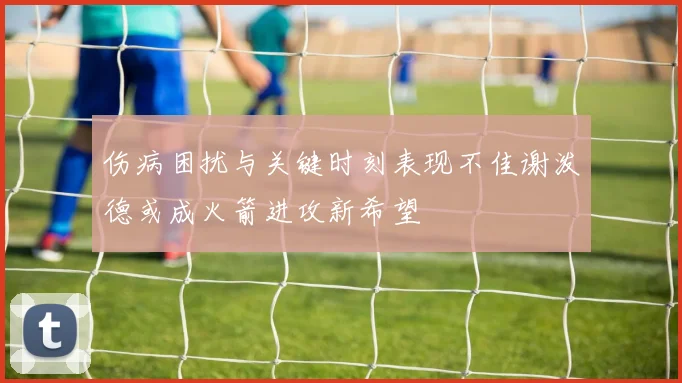 伤病困扰与关键时刻表现不佳谢泼德或成火箭进攻新希望