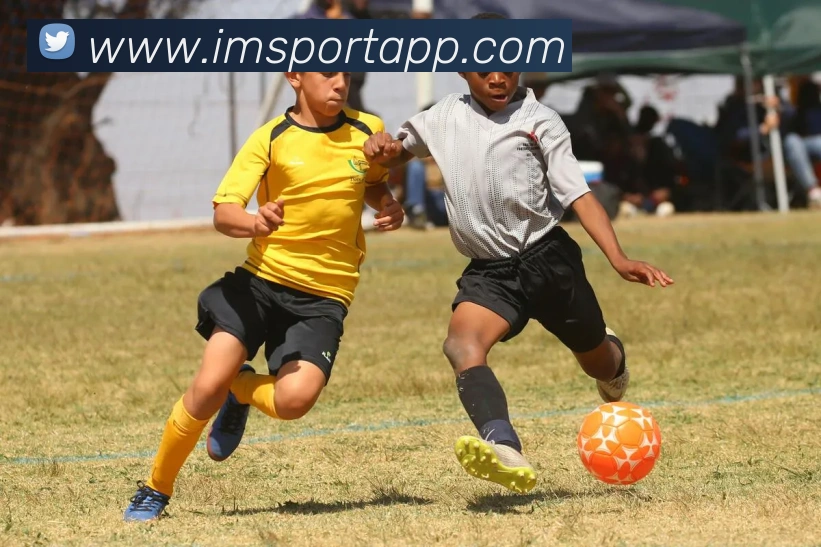 IM足球体育平台生态图