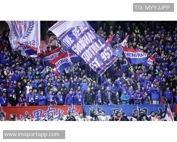 中超足球场建设现状分析及申花铁人场地改造情况探讨